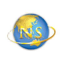 NS Logo small