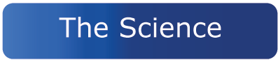 Brainwave Frequencies & Effects - Neurosonica